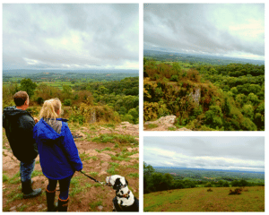 photo collage of adoptive parents at previous Somerset Walk