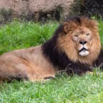 Zoo family day out