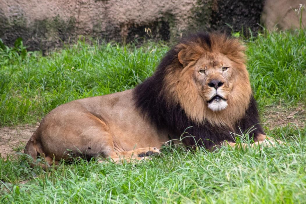 Zoo family day out