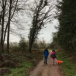 Somerset walk