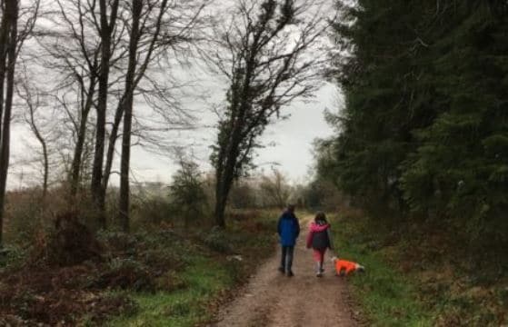 Somerset walk