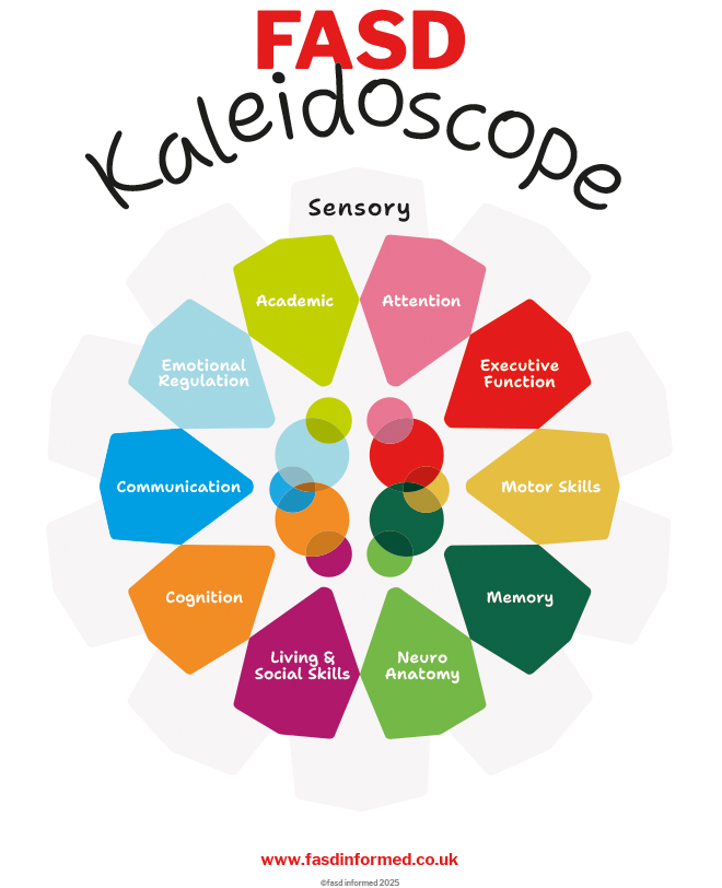 A diagram showing the range of different challenges someone with FASD may have. These are: sensory; academic, attention, executive function, motor skills, memory, neuro anatomy, emotional regulation, communication, cognition, and living and social skills