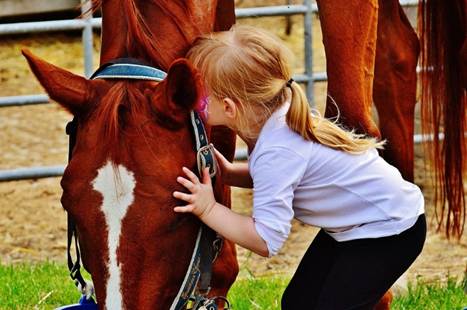 A young girl leaning forward to kiss a horse's neck.