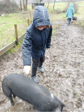 Photo of a child petting a pig