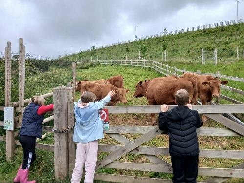 Photograph of 2 children waving to a field of cows